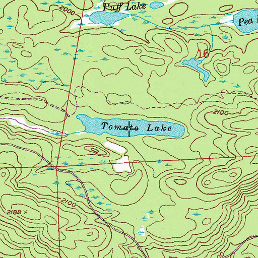 Topographic Map of Tomato Lake, MN
