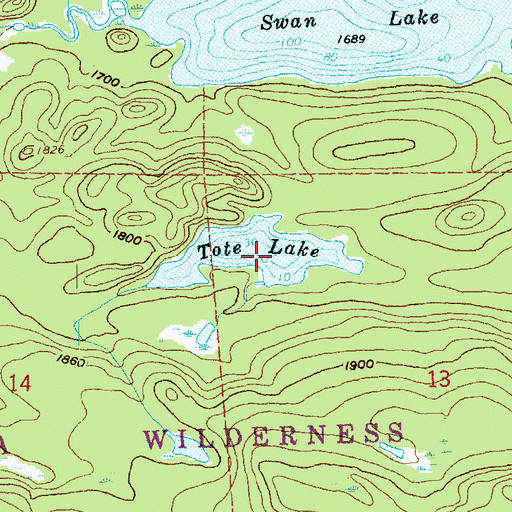 Topographic Map of Tote Lake, MN