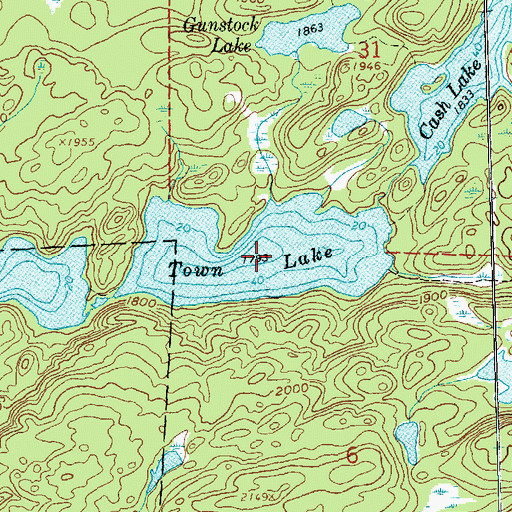 Topographic Map of Town Lake, MN