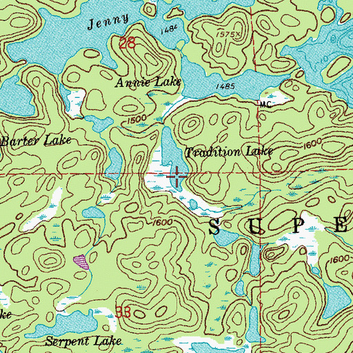 Topographic Map of Tradition Lake, MN