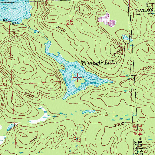 Topographic Map of Triangle Lake, MN