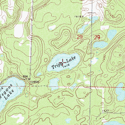 Topographic Map of Tripp Lake, MN