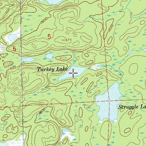 Topographic Map of Turkey Lake, MN