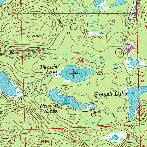 Topographic Map of Turnip Lake, MN