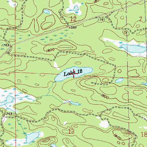 Topographic Map of Lake Twelve, MN