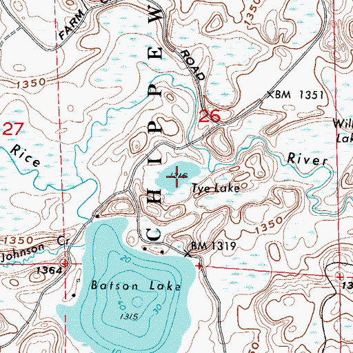 Topographic Map of Tye Lake, MN