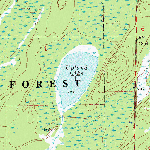 Topographic Map of Upland Lake, MN