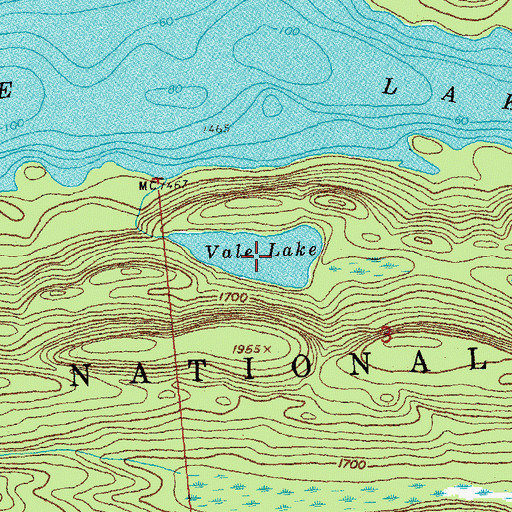 Topographic Map of Vale Lake, MN