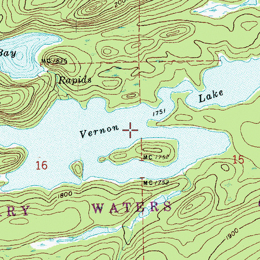 Topographic Map of Vernon Lake, MN