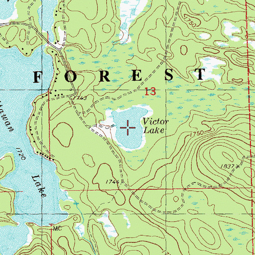 Topographic Map of Victor Lake, MN
