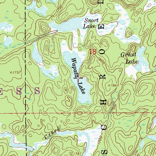 Topographic Map of Wapata Lake, MN