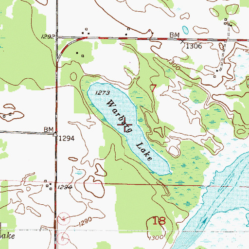Topographic Map of Warburg Lake, MN