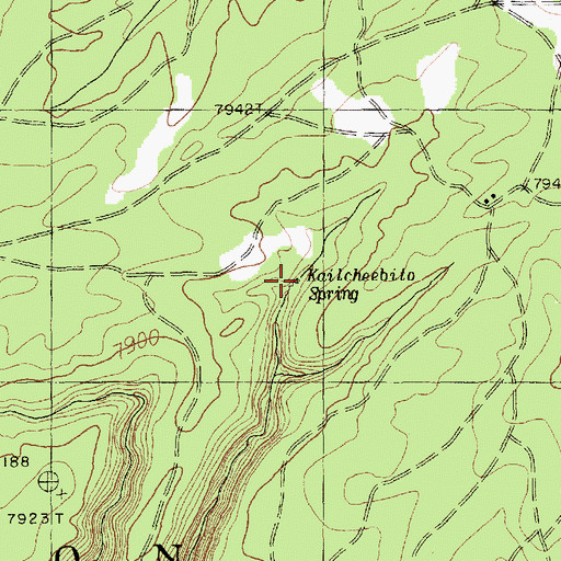 Topographic Map of Kailcheebito Spring, AZ