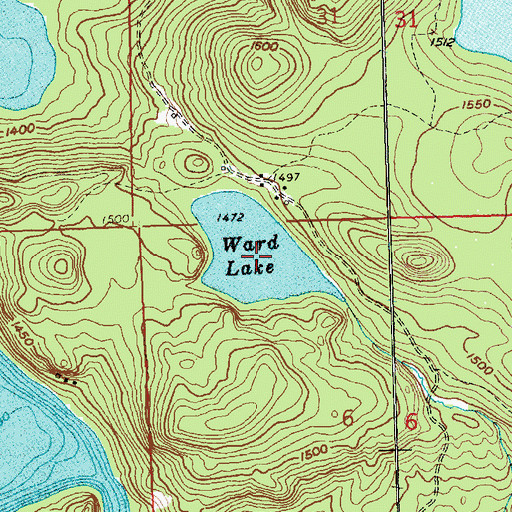 Topographic Map of Ward Lake, MN