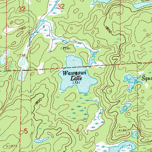 Topographic Map of Wawaswi Lake, MN