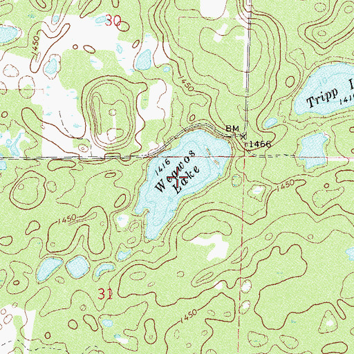 Topographic Map of Wegwos Lake, MN