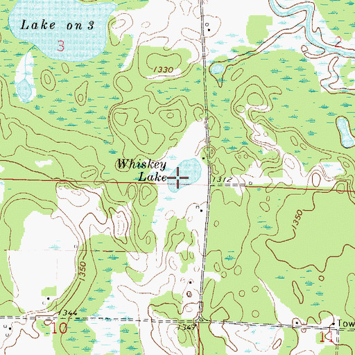 Topographic Map of Whiskey Lake, MN