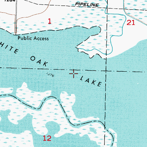 Topographic Map of White Oak Lake, MN