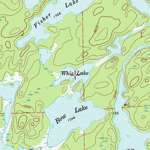 Topographic Map of Whiz Lake, MN