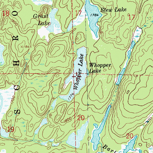 Topographic Map of Whopper Lake, MN