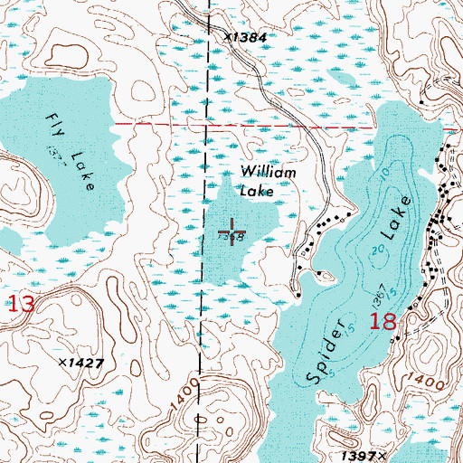 Topographic Map of William Lake, MN