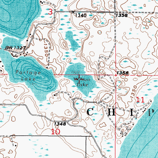 Topographic Map of Wilson Lake, MN