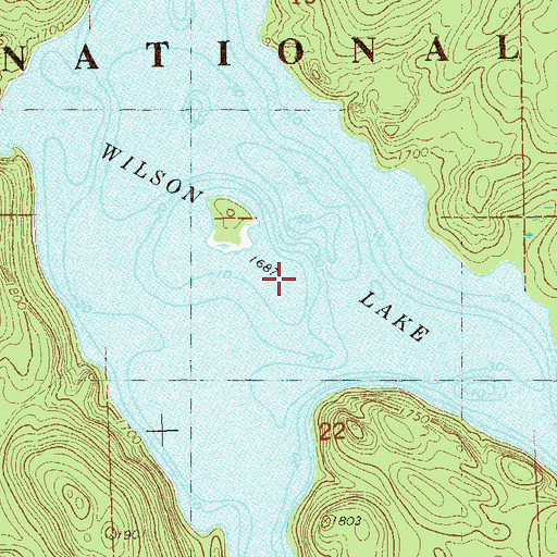 Topographic Map of Wilson Lake, MN