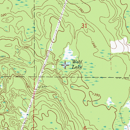 Topographic Map of Wolf Lake, MN