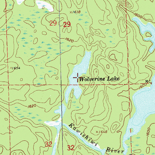 Topographic Map of Wolverine Lake, MN