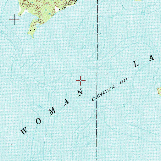 Topographic Map of Woman Lake, MN