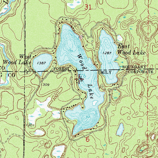 Topographic Map of Wood Lake, MN