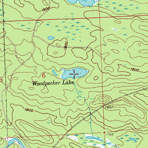 Topographic Map of Woodpecker Lake, MN