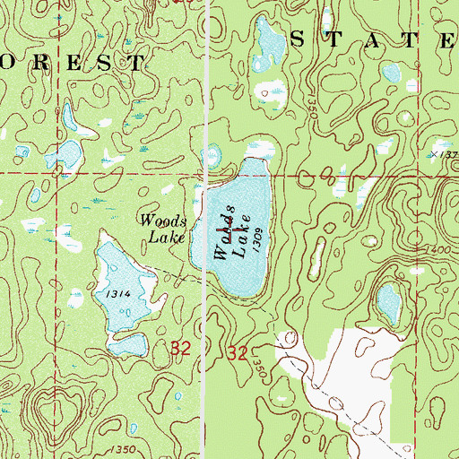 Topographic Map of Woods Lake, MN