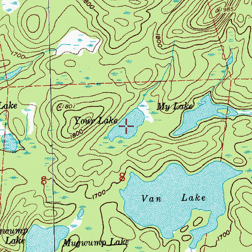 Topographic Map of Your Lake, MN