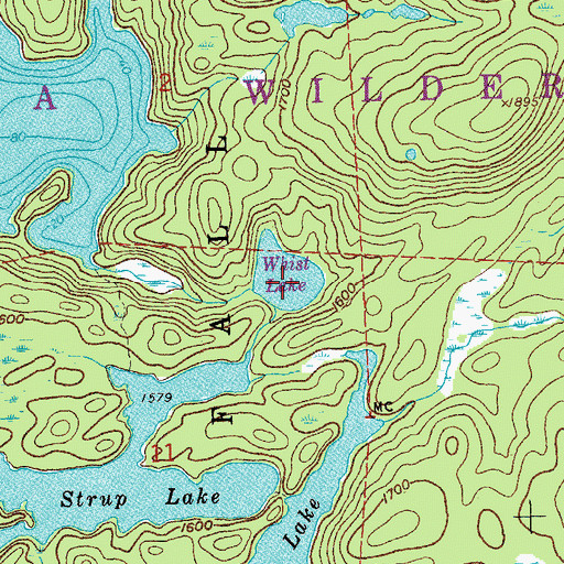 Topographic Map of Whist Lake, MN