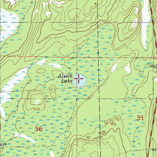 Topographic Map of Alseth Lake, MN
