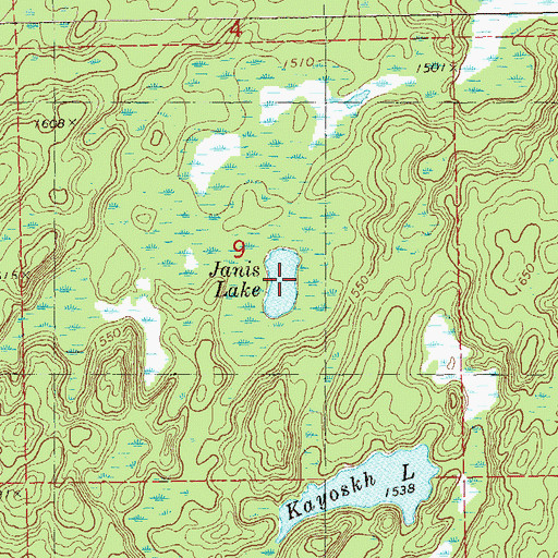 Topographic Map of Janis Lake, MN