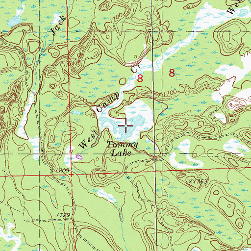 Topographic Map of Tommy Lake, MN