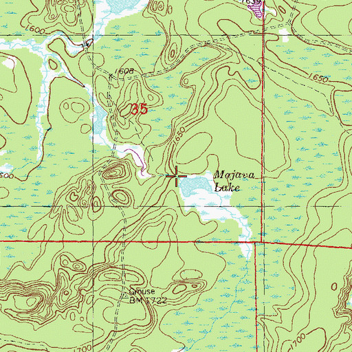 Topographic Map of Majaya Lake, MN