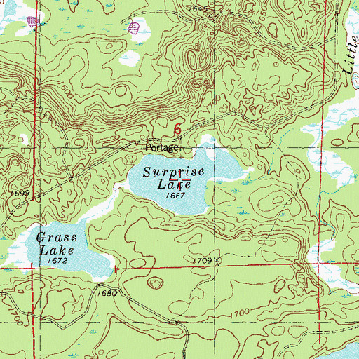 Topographic Map of Surprise Lake, MN
