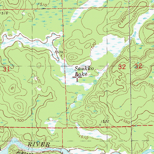 Topographic Map of Saukko Lake, MN