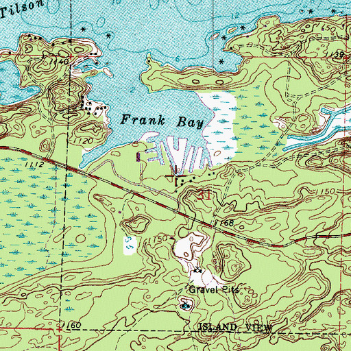 Topographic Map of Spring Lodge Resort and Marina, MN
