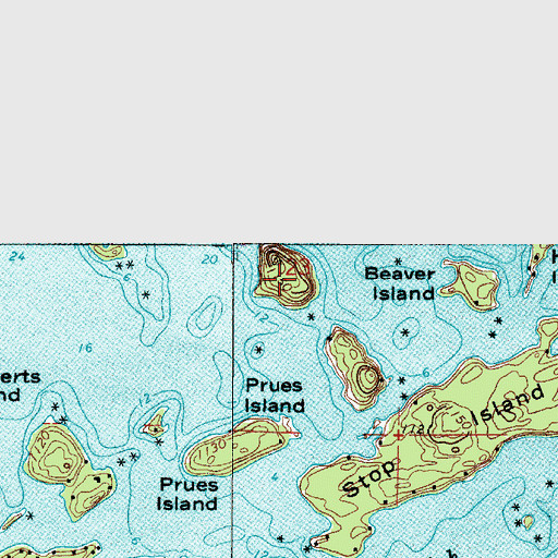 Topographic Map of Susans Island, MN