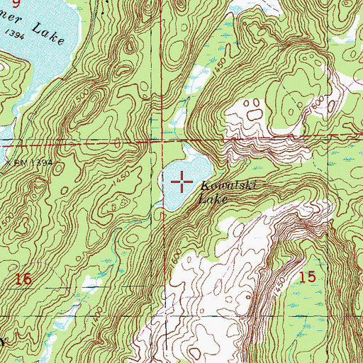 Topographic Map of Kowalski Lake, MN