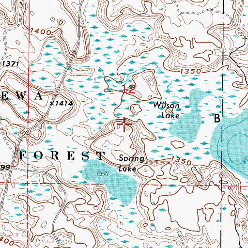 Topographic Map of Marcell Experimental Forest, MN