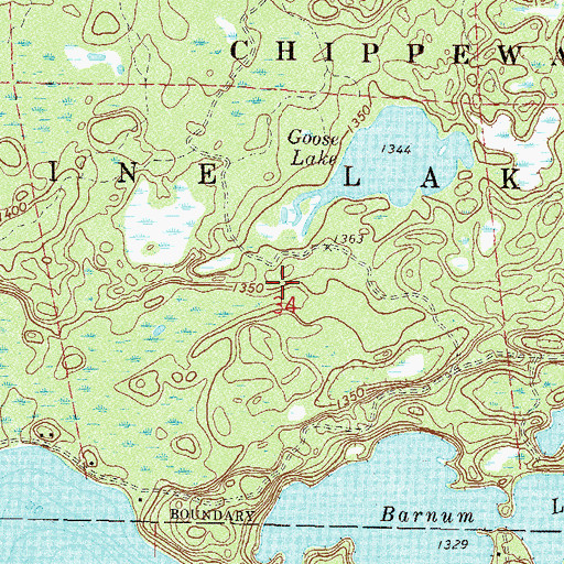 Topographic Map of Goose Lake Trail System, MN