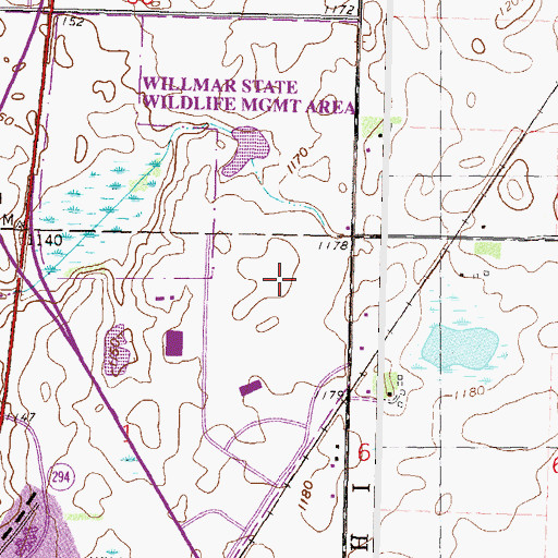 Topographic Map of Kandiyohi County, MN