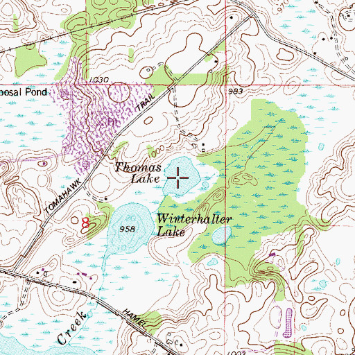 Topographic Map of Thomas Lake, MN