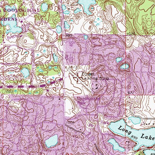 Topographic Map of Doyles Landing Strip (historical), MN