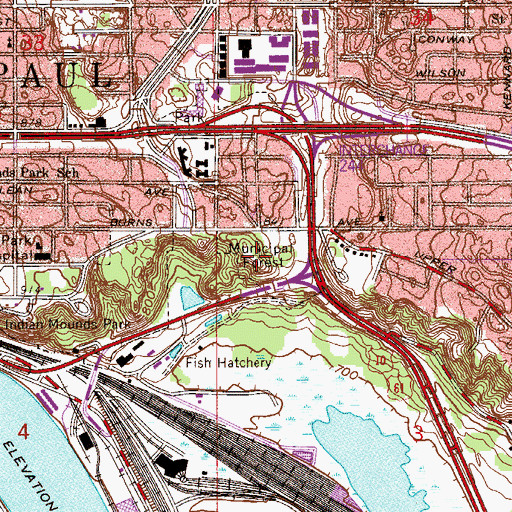 Topographic Map of Municipal Forest, MN